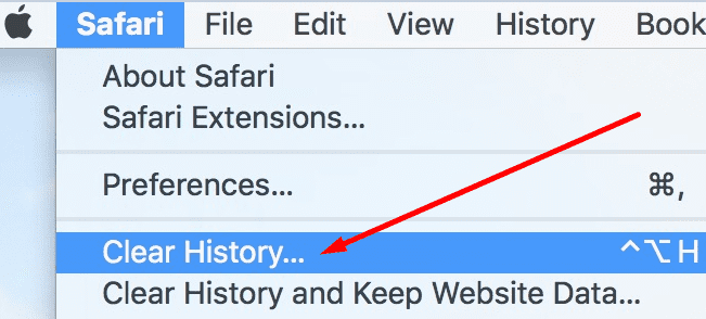 clear browsing data safari