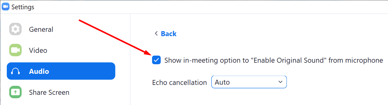 enable original sound zoom