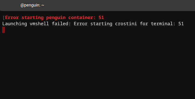 chromebook-error-starting-penguin-container