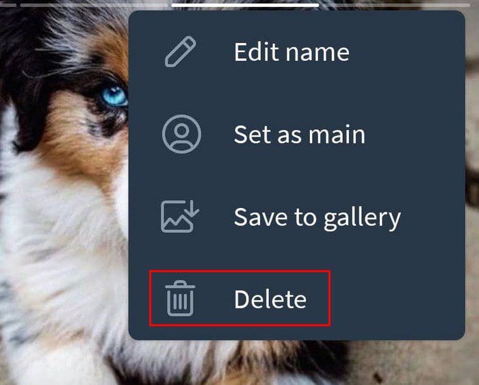 Delete Telegram Profile picture