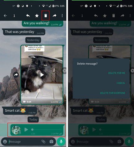 Erase WhatsApp Audios