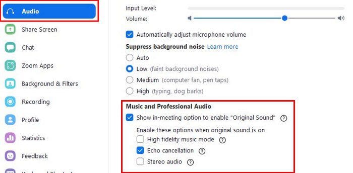 Zoom Music and Professional Audio