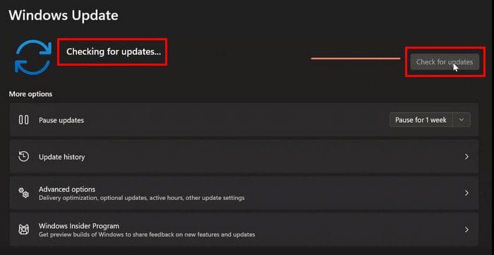 Check for Windows 11 Updates
