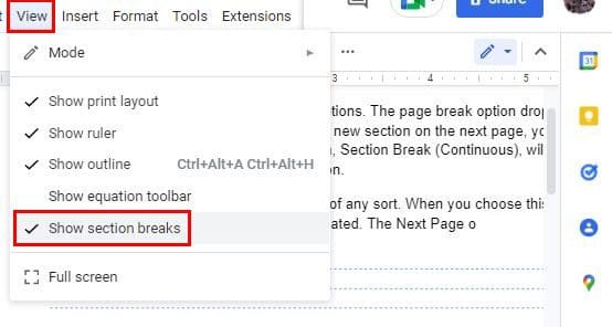 Google Docs Show section breaks