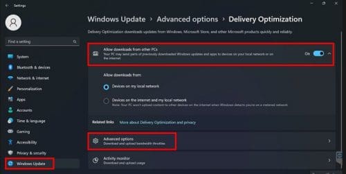 Delivery optimization bandwidth W11