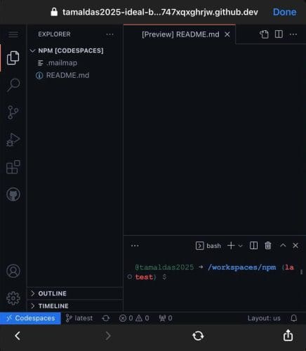 Best Coding Apps for iPad GitHub Codespaces