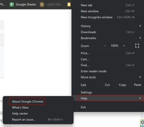 Update Chrome Browser